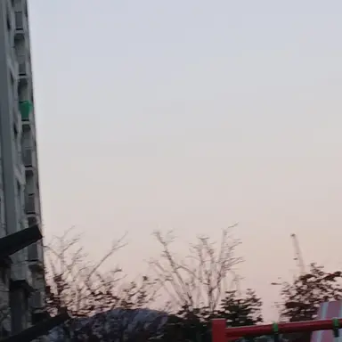 Profile image of 리카이배구부