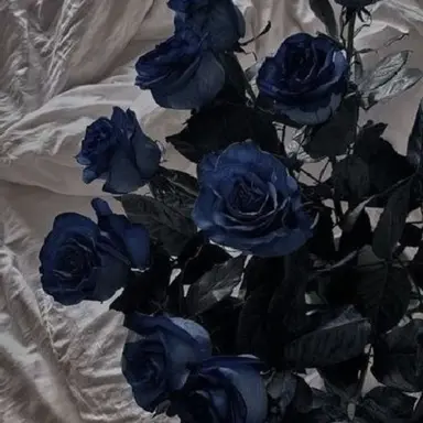 Profile image of 벨키