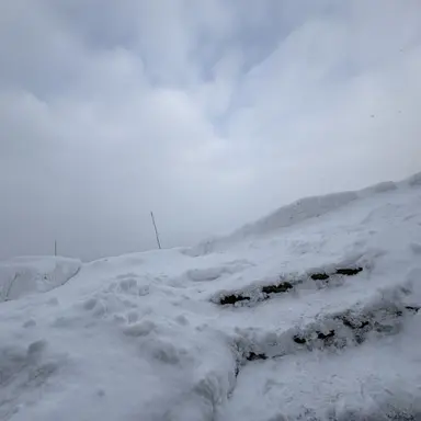 Profile image of 治