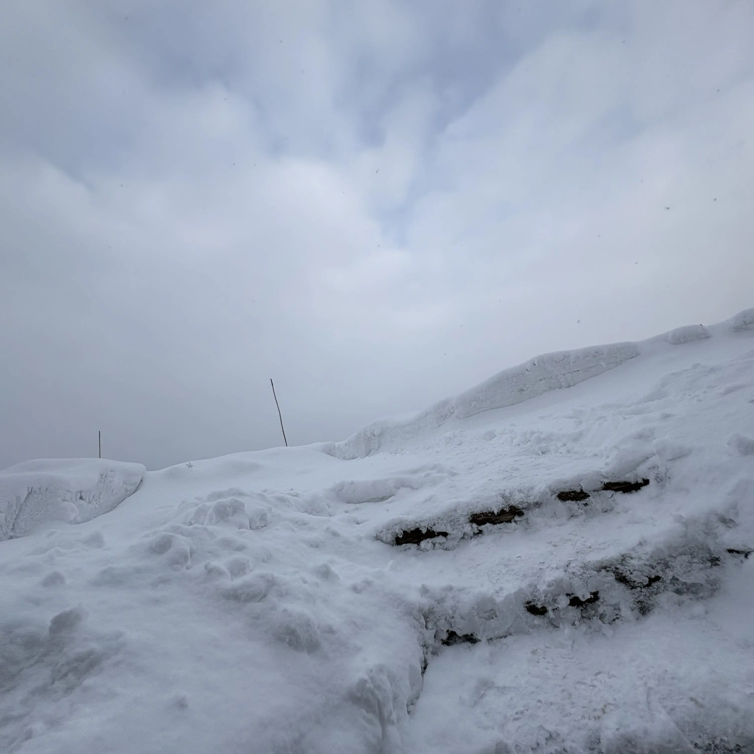 ShrillLady0853의 #004