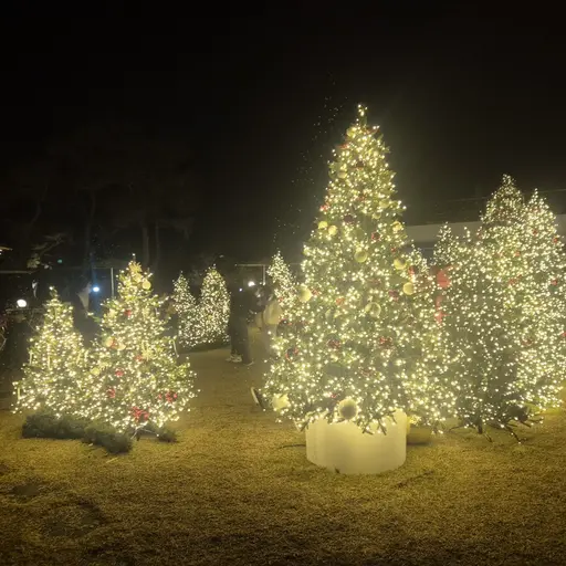 CreamPlant1090의 강지민