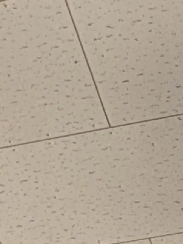 Kurosann의 おそろいきーほるだー