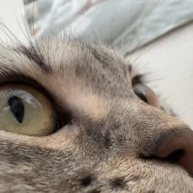 Profile image of 미니