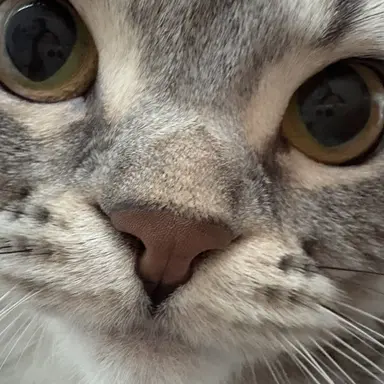 Profile image of 별빠