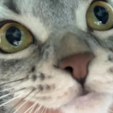 Profile image of 별맘