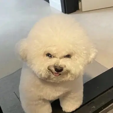 Profile image of 김서린