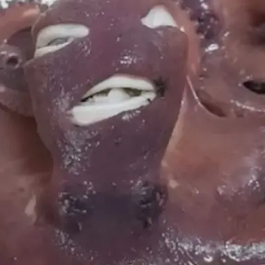 Profile image of 오징어 마뮈쏜