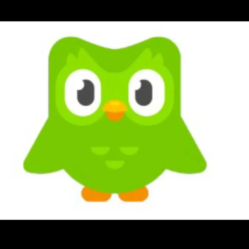 im_T의 듀오링고