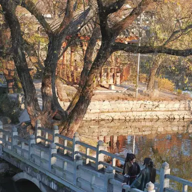 Profile image of 남궁천명