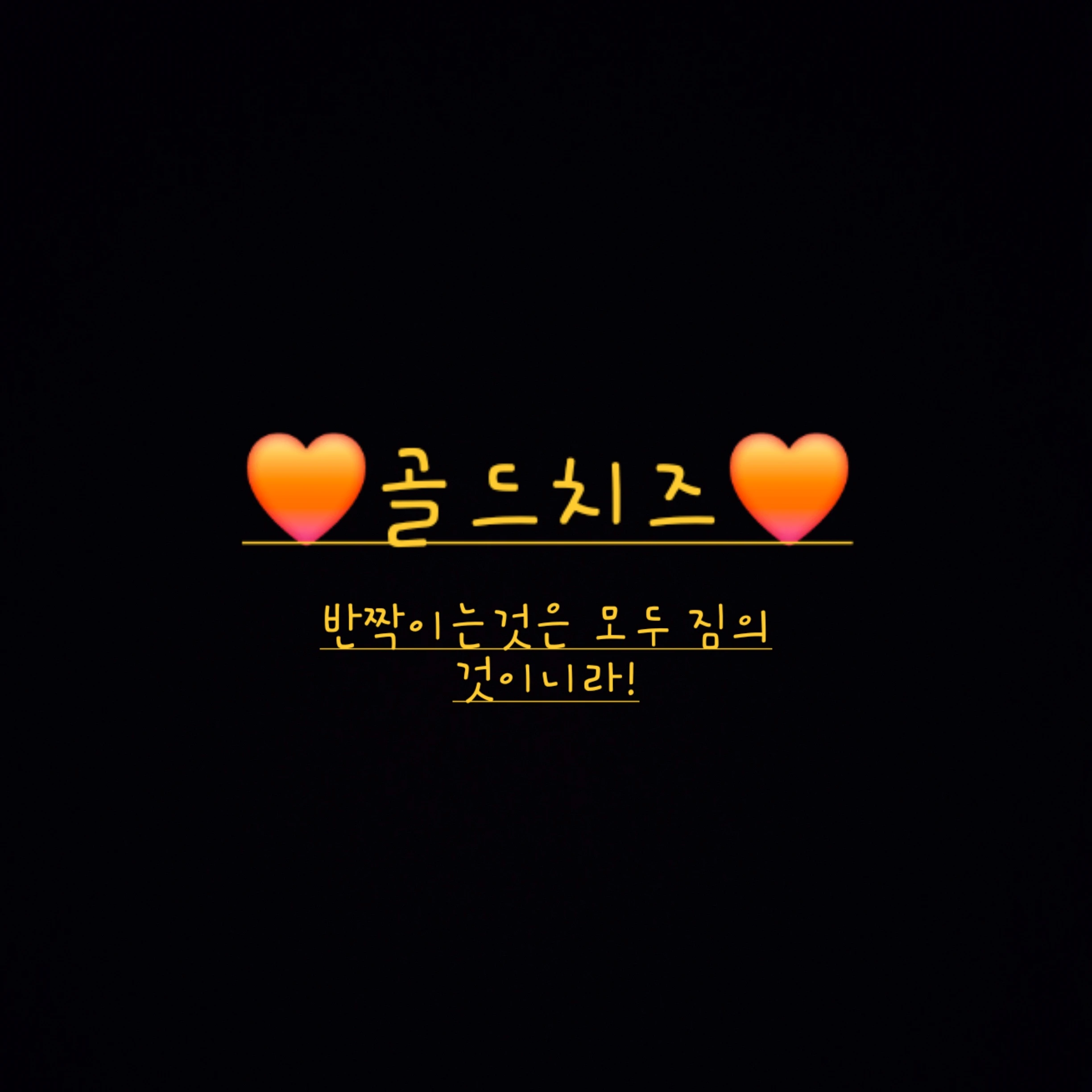 골드치즈