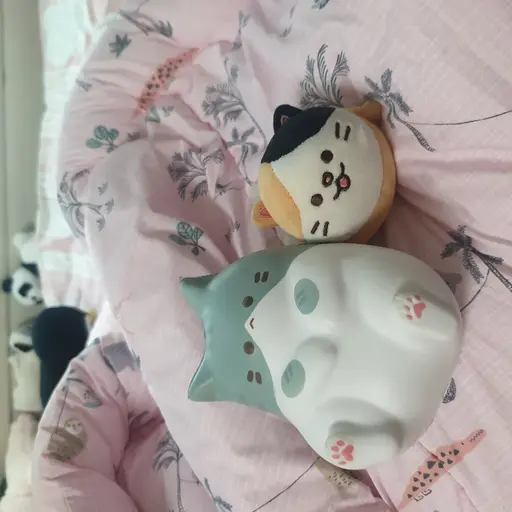 NiceTail2090의 냥이2