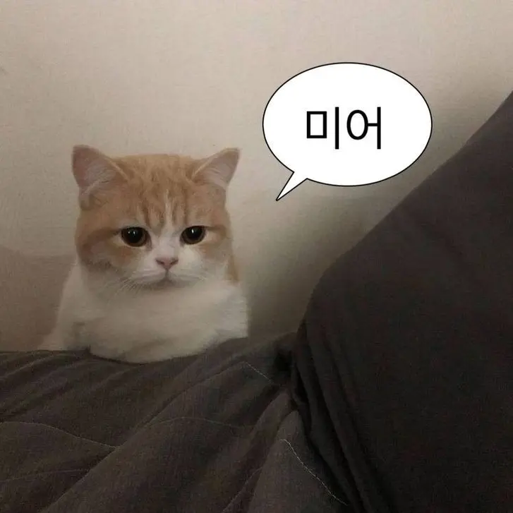 FlatMudi6070의 백공
