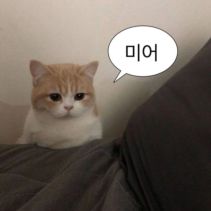 백공