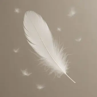 Profile image of 샬몬