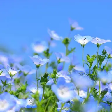 Profile image of 中島裕翔