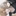 이도현