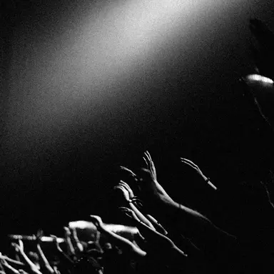 Profile image of 광신도