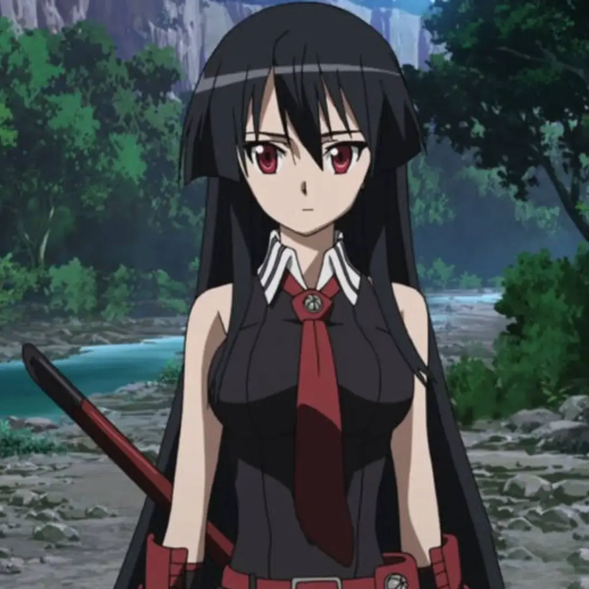 rintezuka의 Akame ga kill!