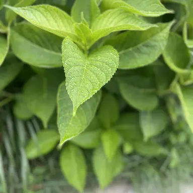 Profile image of 정형준