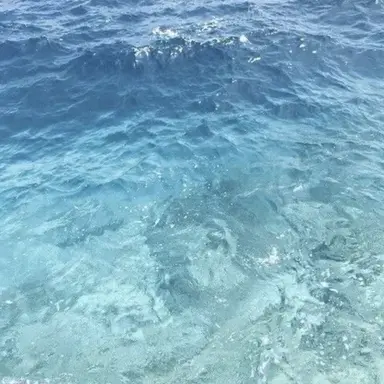 Profile image of 박슬기