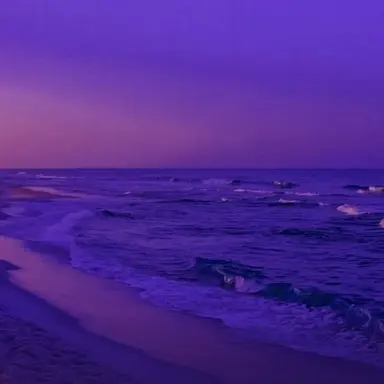 Profile image of 황수현