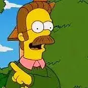 Profile image of Ned