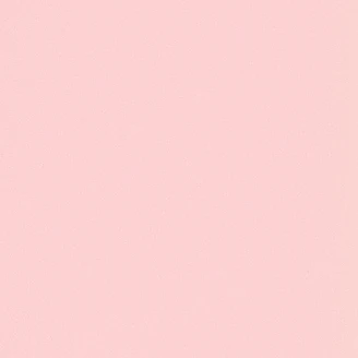 わん