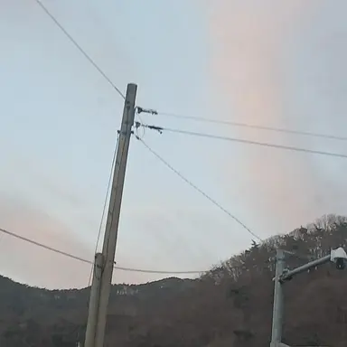 Profile image of 타이그리스