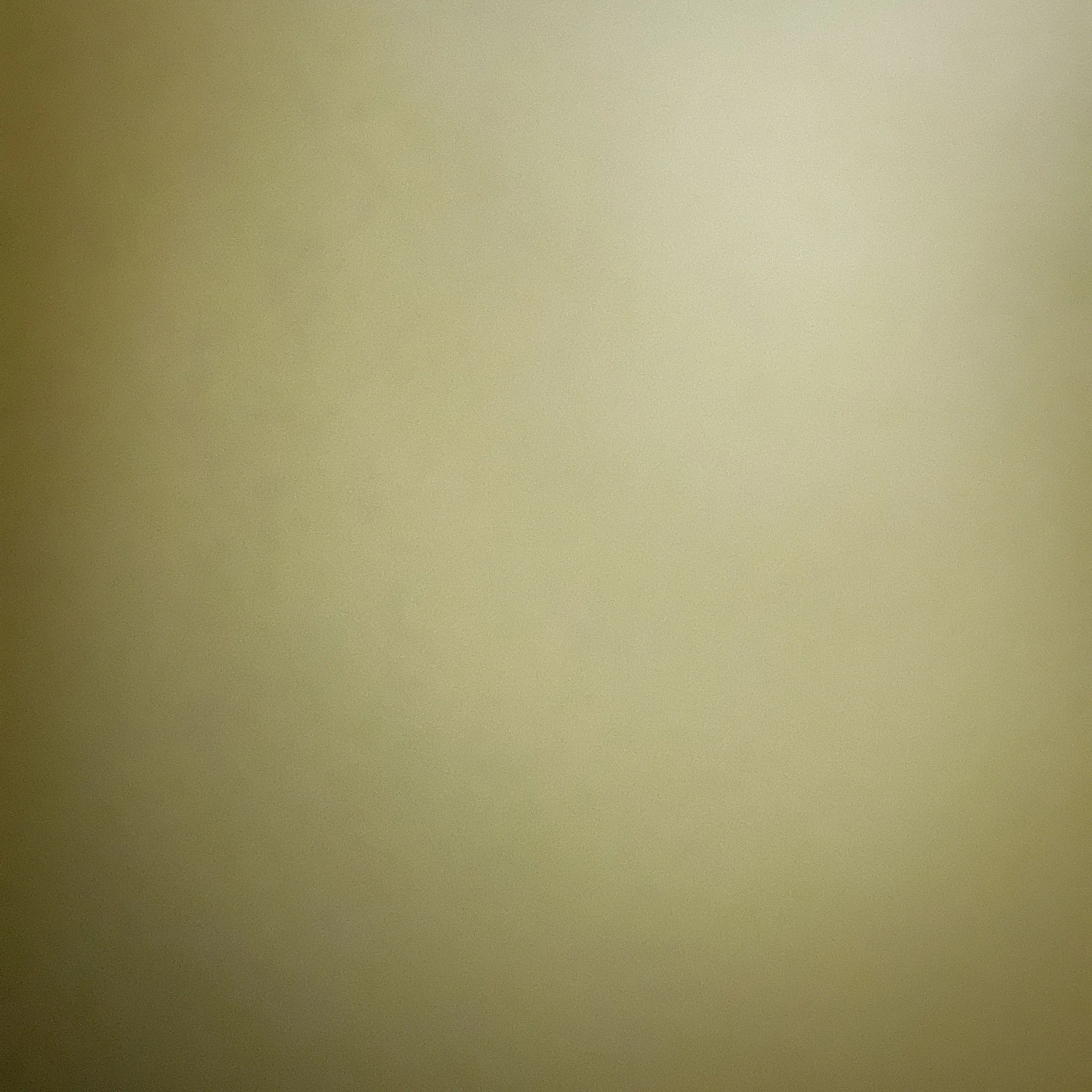 PastFox0199의 소녀시대