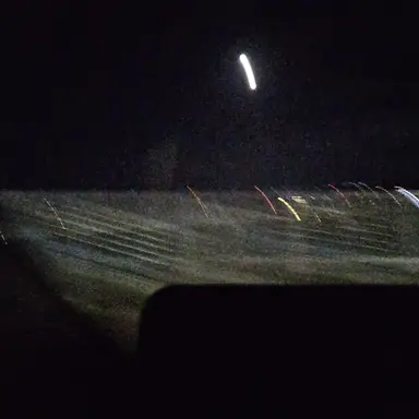 Profile image of 여우