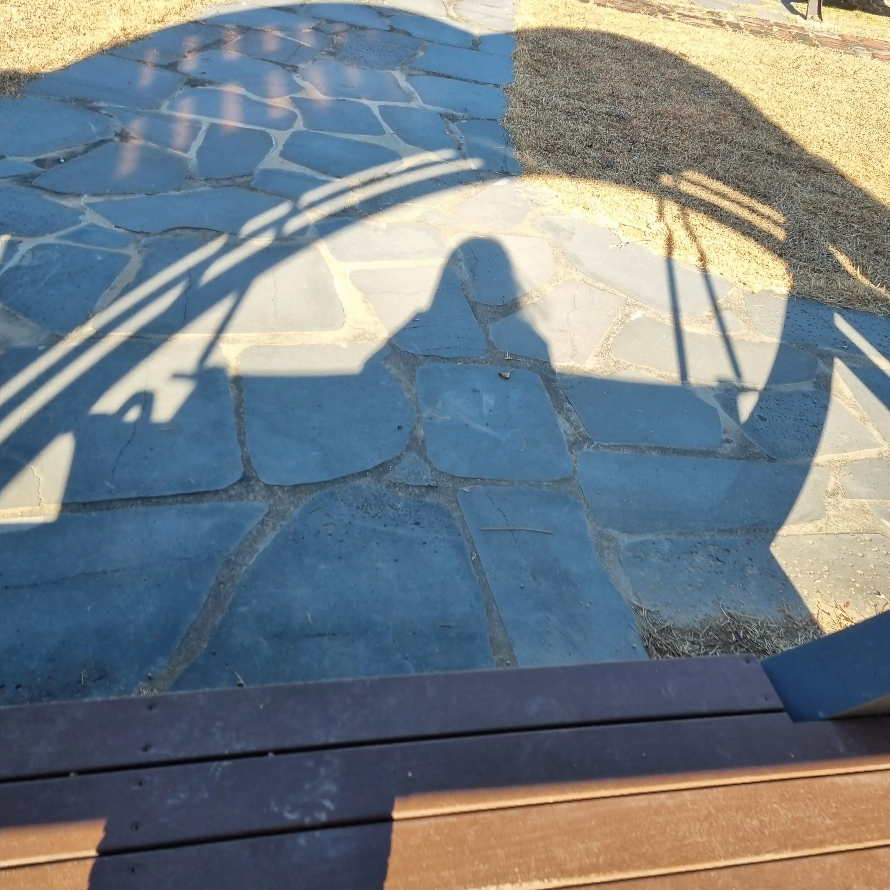 Djjdjdjdjw의 크리스마스