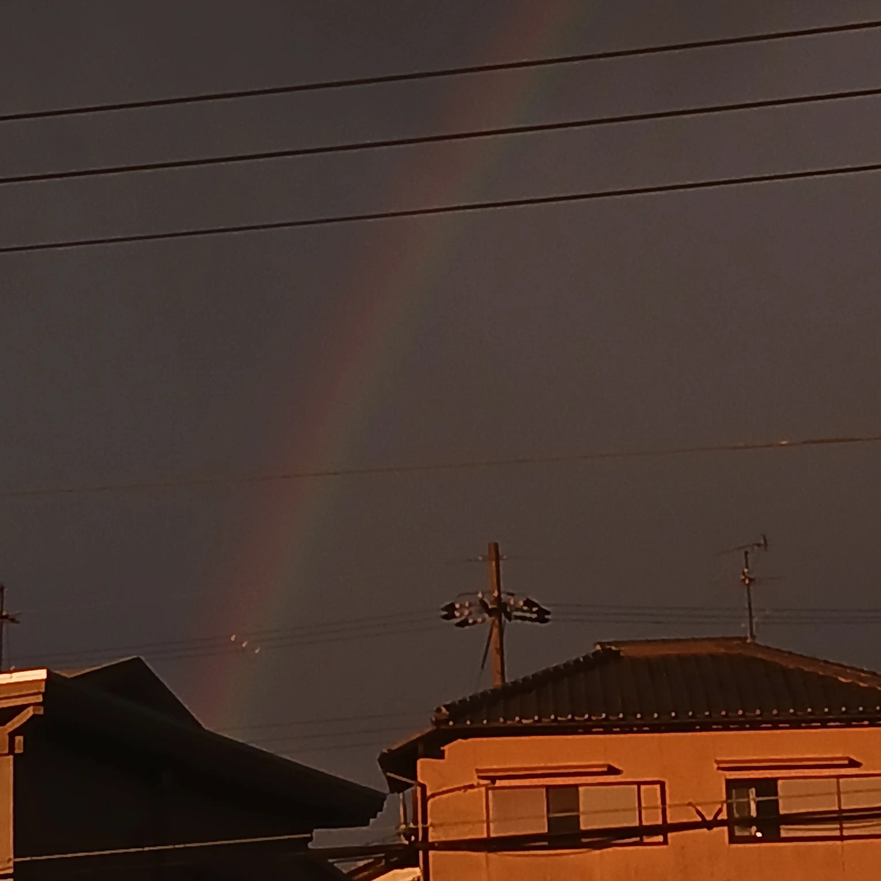 EthnicBox7470의 好きなやつ詰め込んでみた