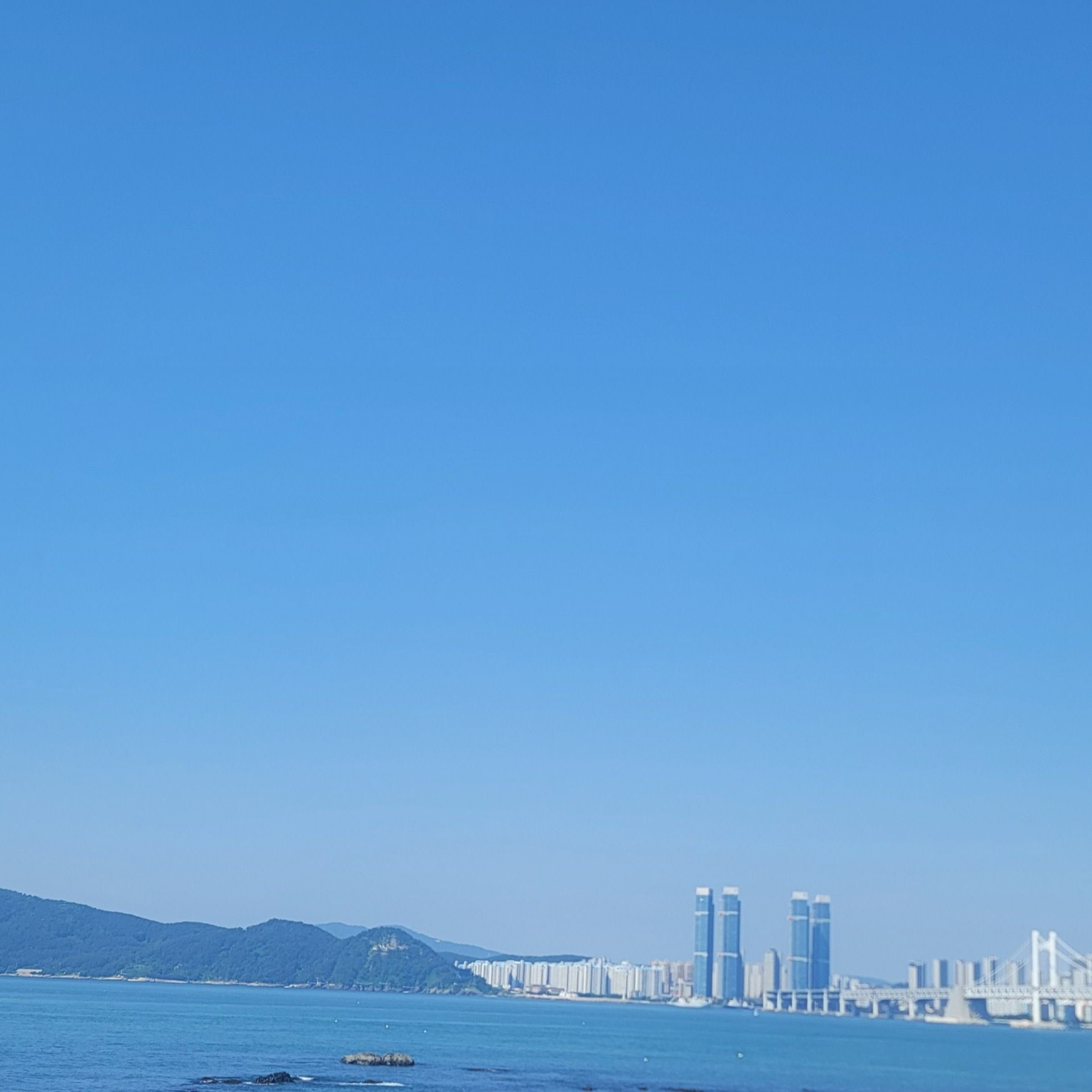 ㅇㅁㄱㄴ 아무거나 대표 이미지