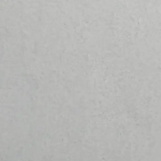 SnowyMud7174의 TS