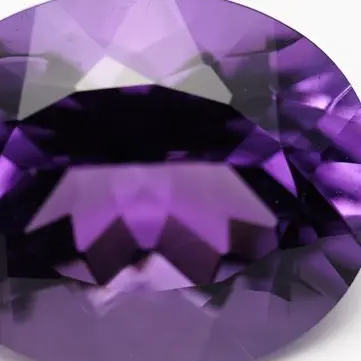 Profile image of 紫苑