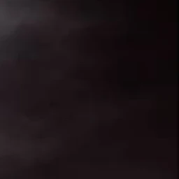 정재진
