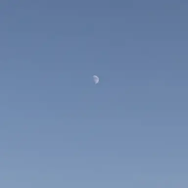 Profile image of 손흥민