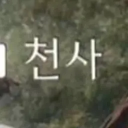 Profile image of 천사