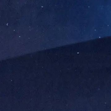 BrutalBlock3877의 늑대