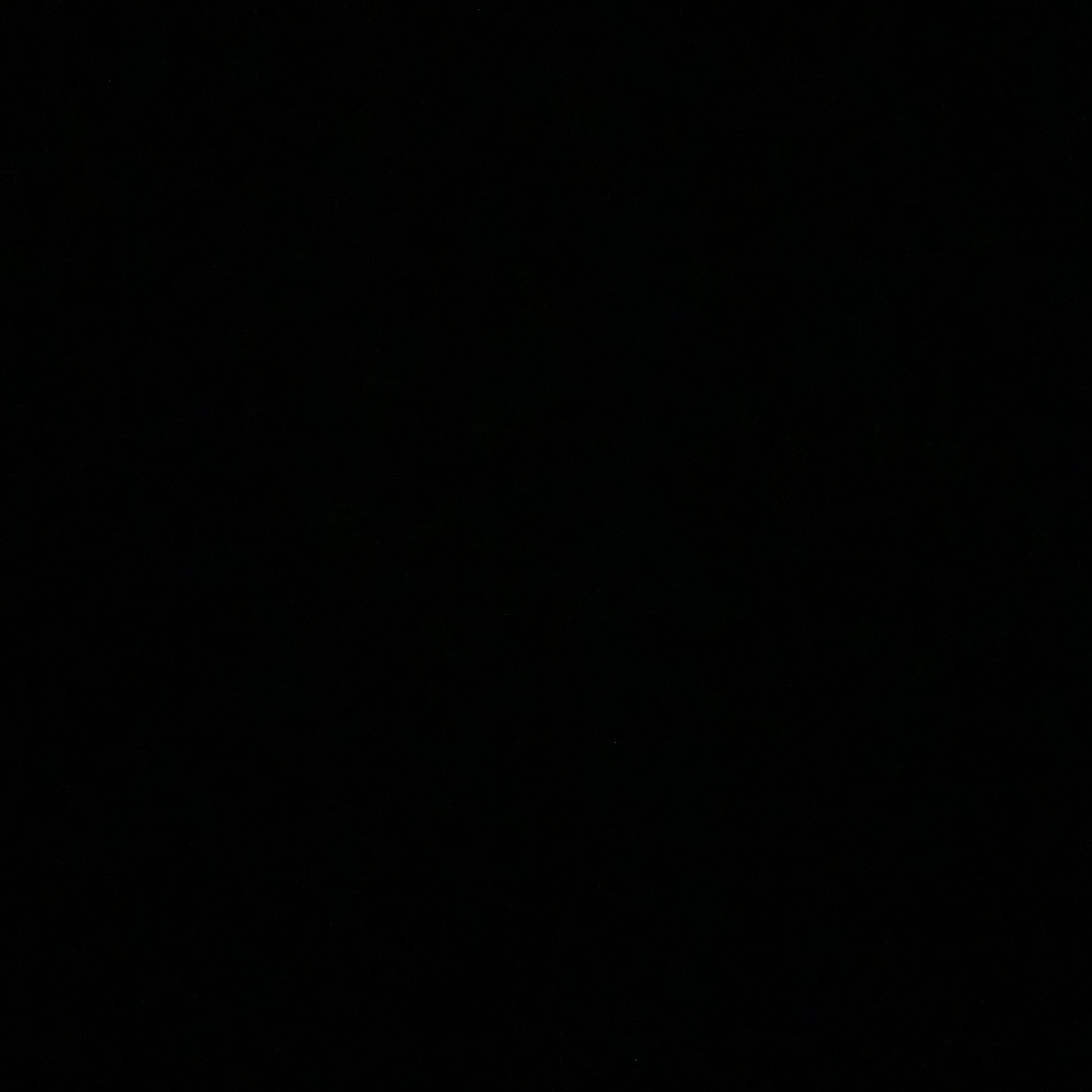 제노