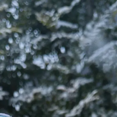 Profile image of 尾浜