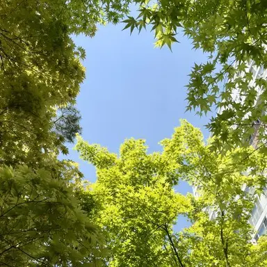 Profile image of コンリョン