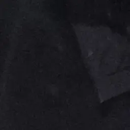 Michl의 친동생 평학