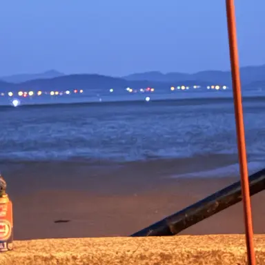 Profile image of 도나 테러
