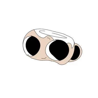 Profile image of 쉘리