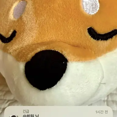 Profile image of 뜰팁 서열 학교