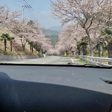 Profile image of 선택자