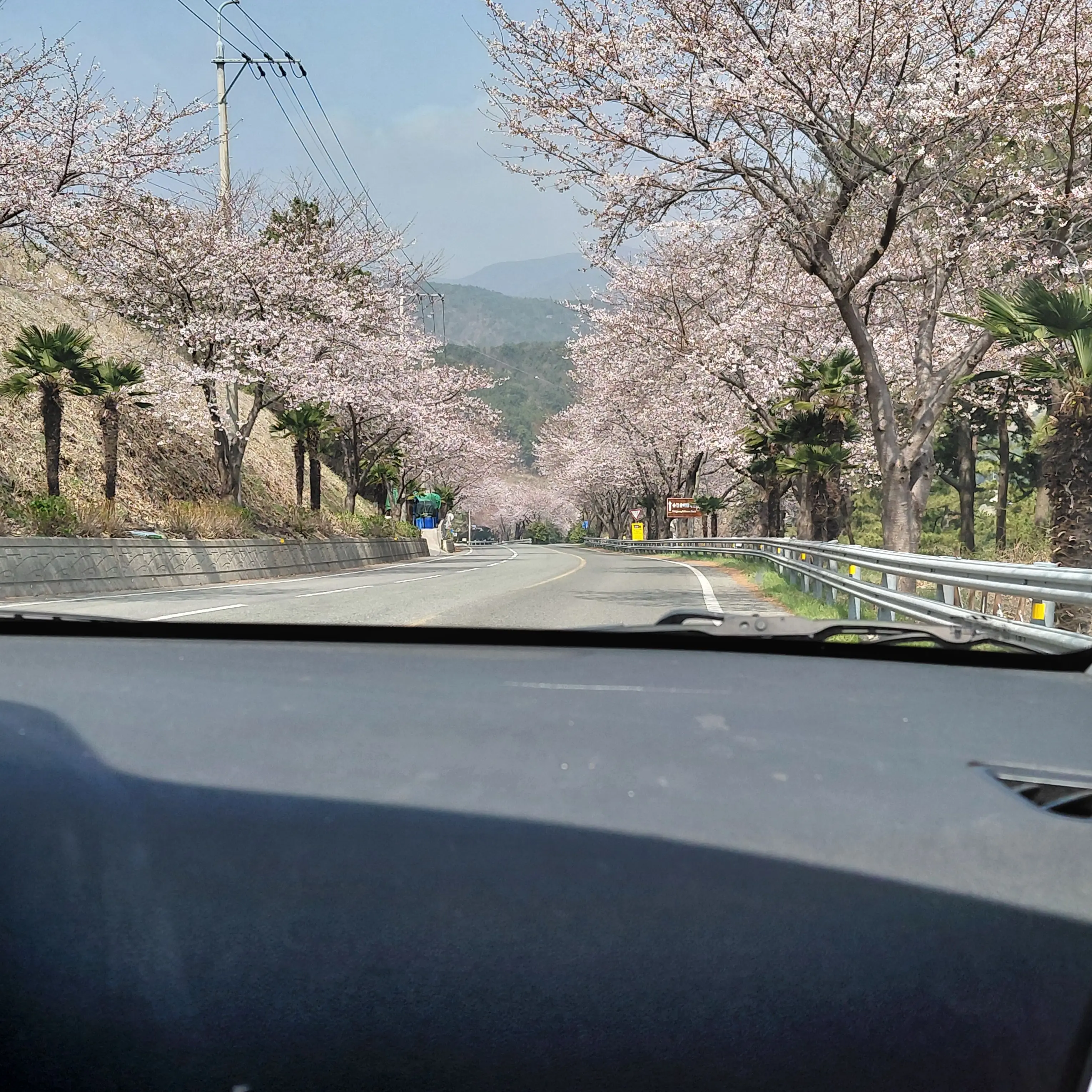 RareUrial5689의 방탈출에갇쳤다?!