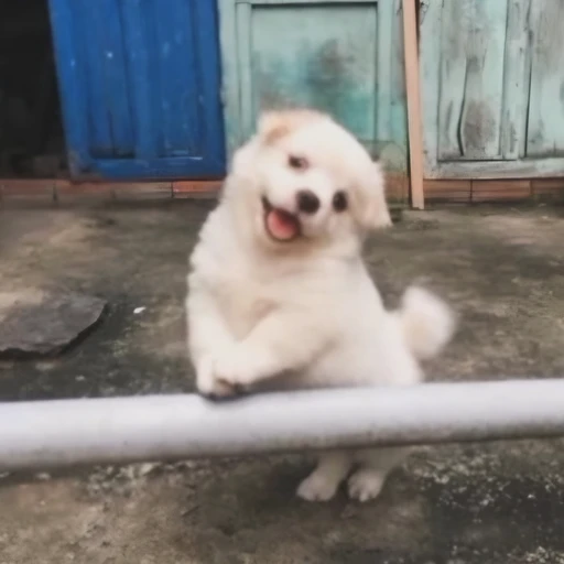 유미