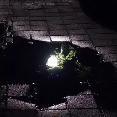 Profile image of 샤인 선생님